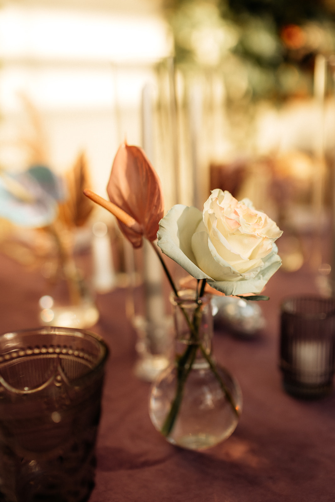 laurencraigrogerwilliamsbotanicalcenterweddingprovidencerhodeisland-1046_websize