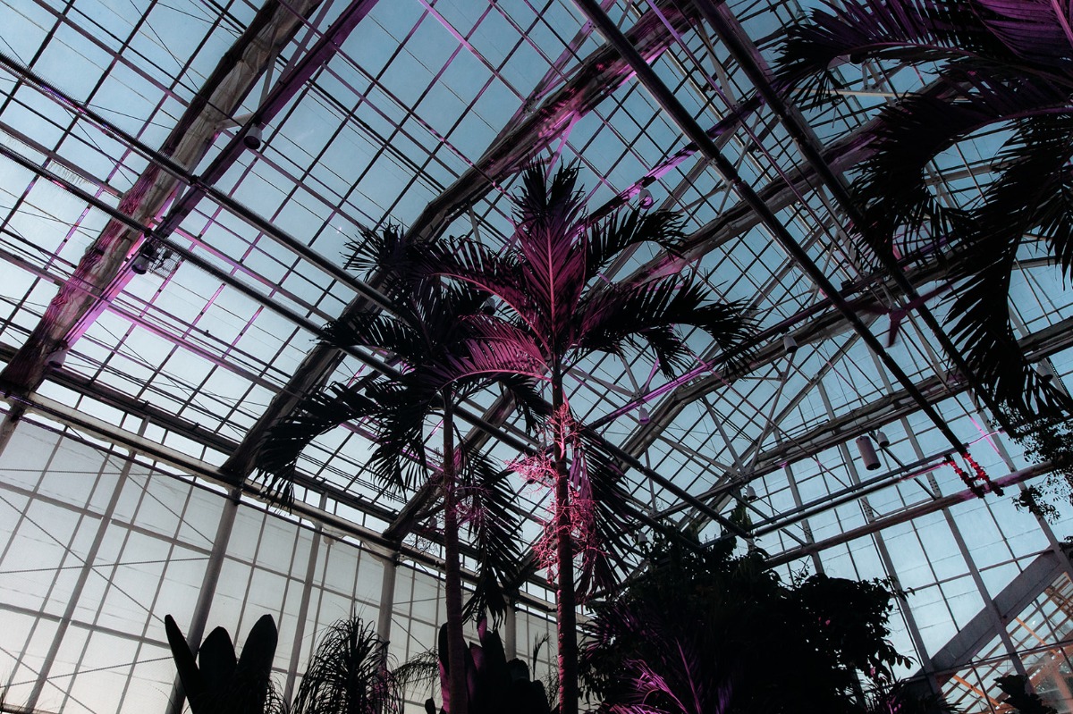 laurencraigrogerwilliamsbotanicalcenterweddingprovidencerhodeisland-1087_websize