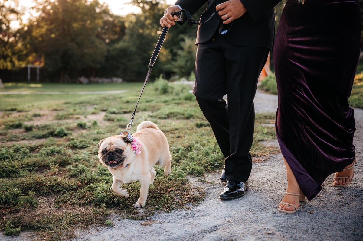 laurencraigrogerwilliamsbotanicalcenterweddingprovidencerhodeisland-743_websize