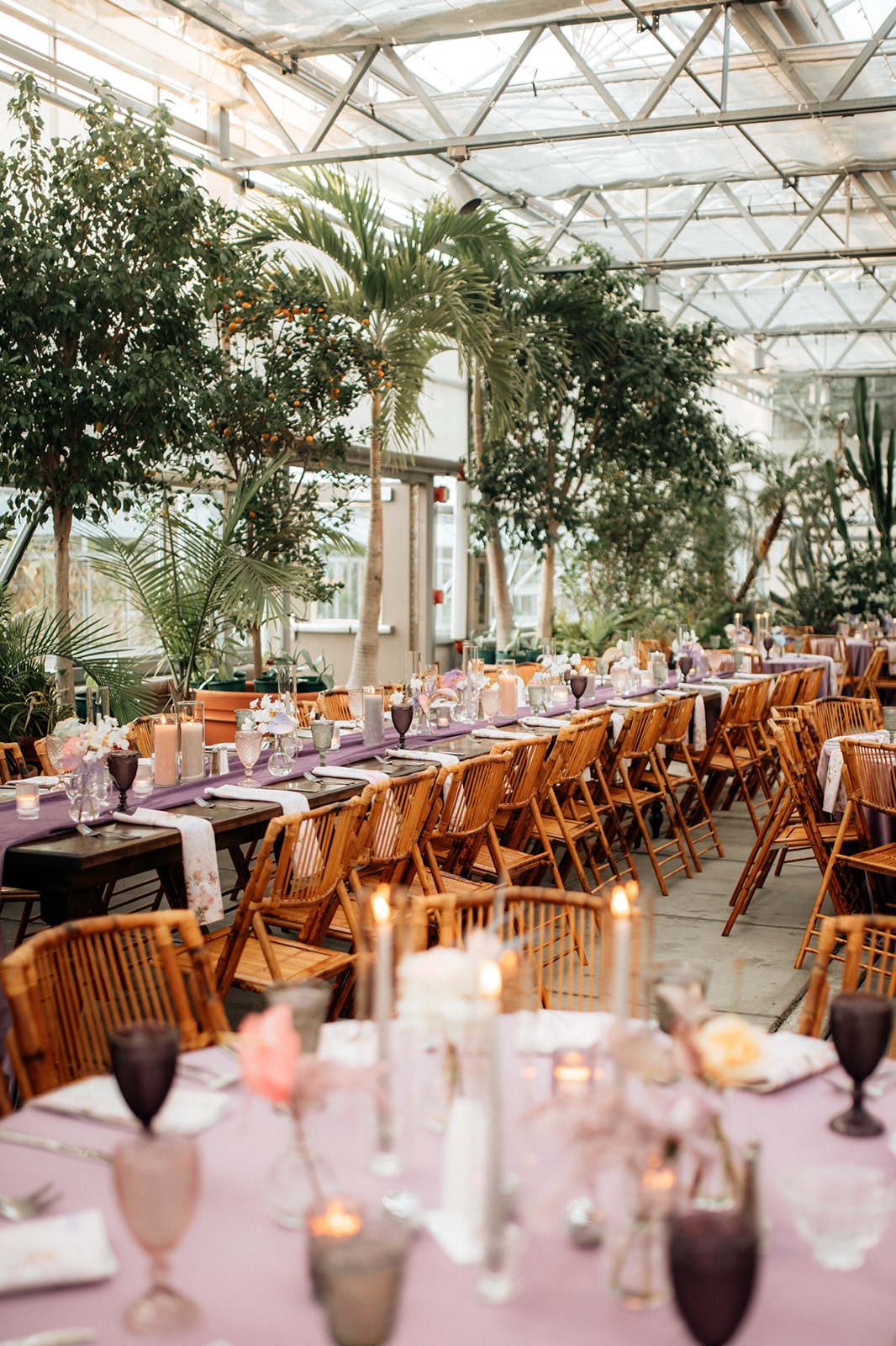 laurencraigrogerwilliamsbotanicalcenterweddingprovidencerhodeisland-990_websize