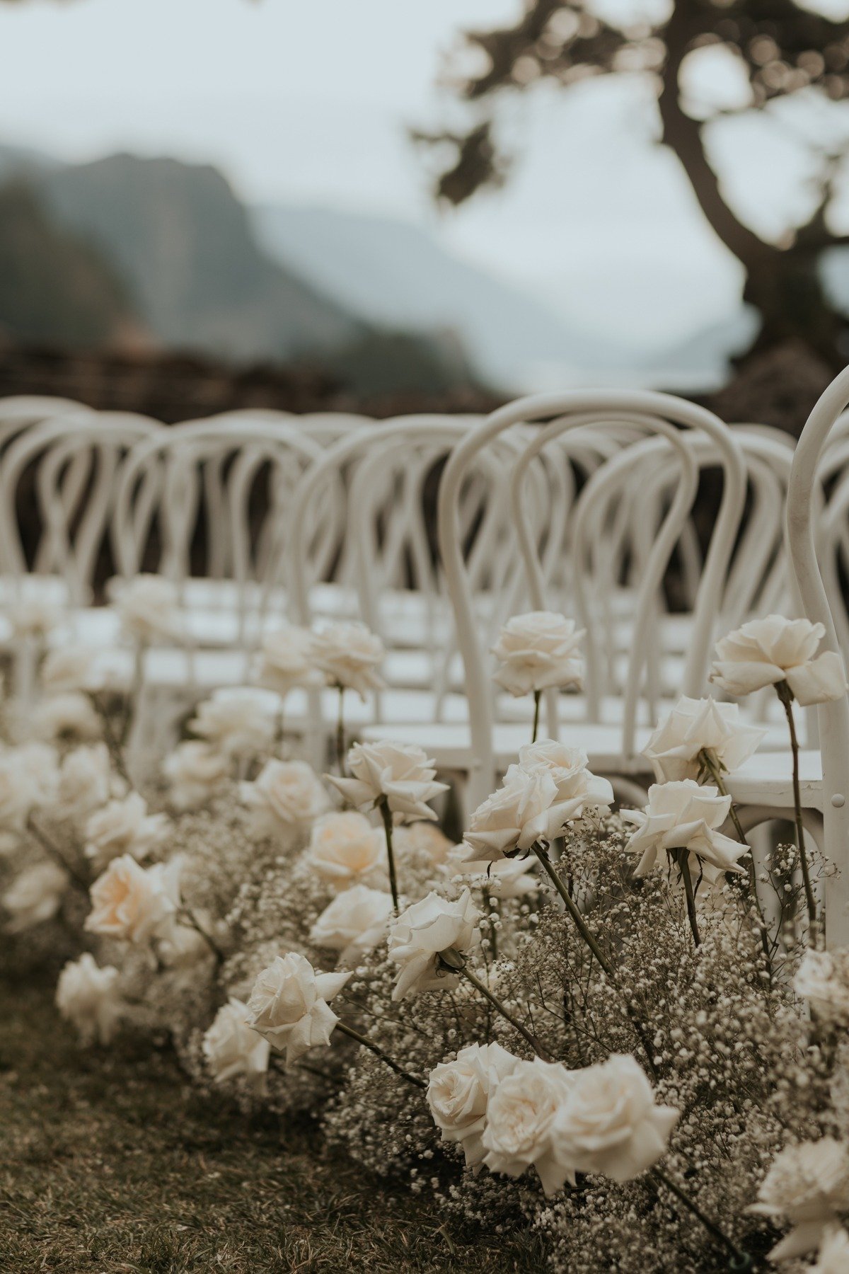 white roses and baby's breath aisle