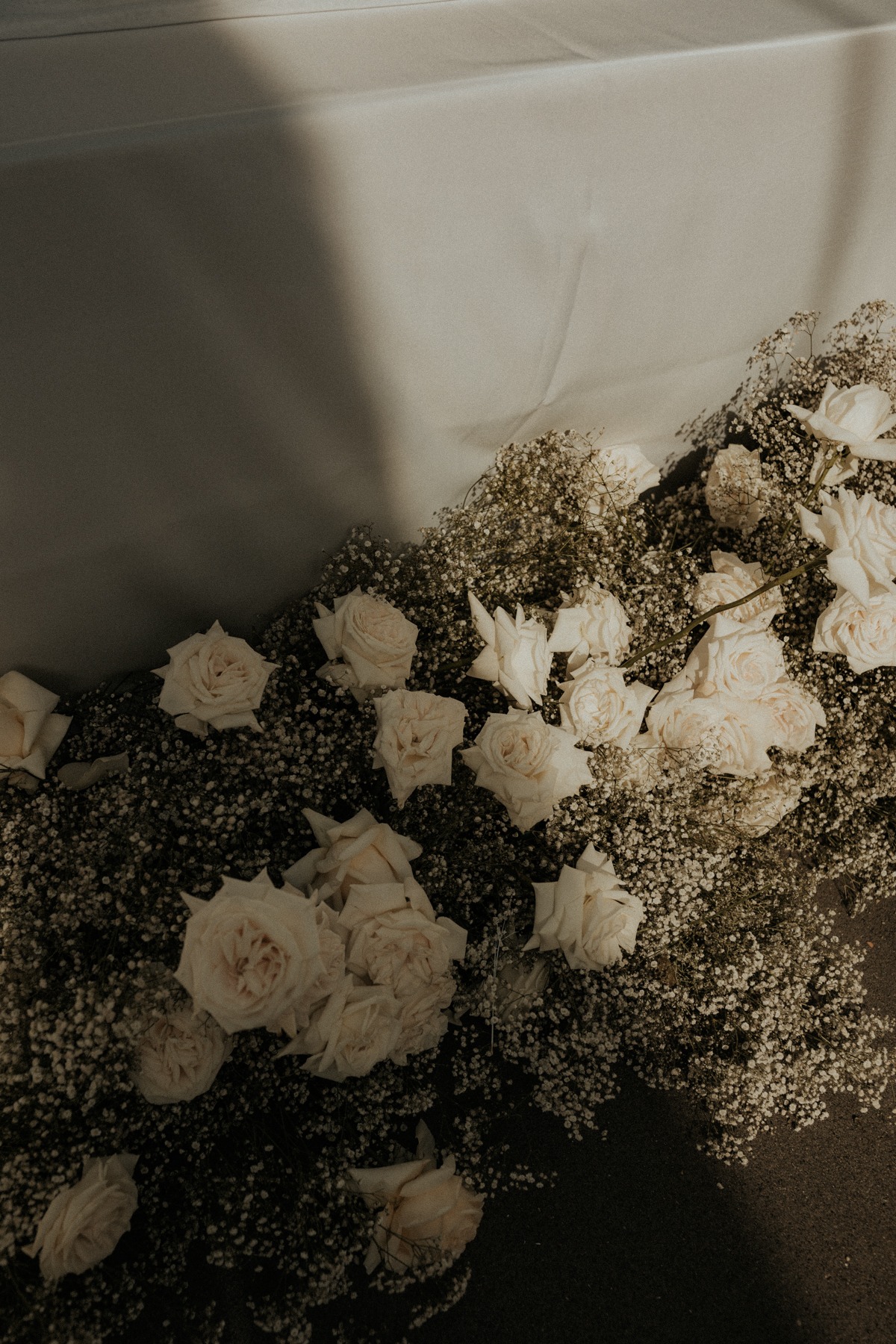 saraholiviaphoto-34