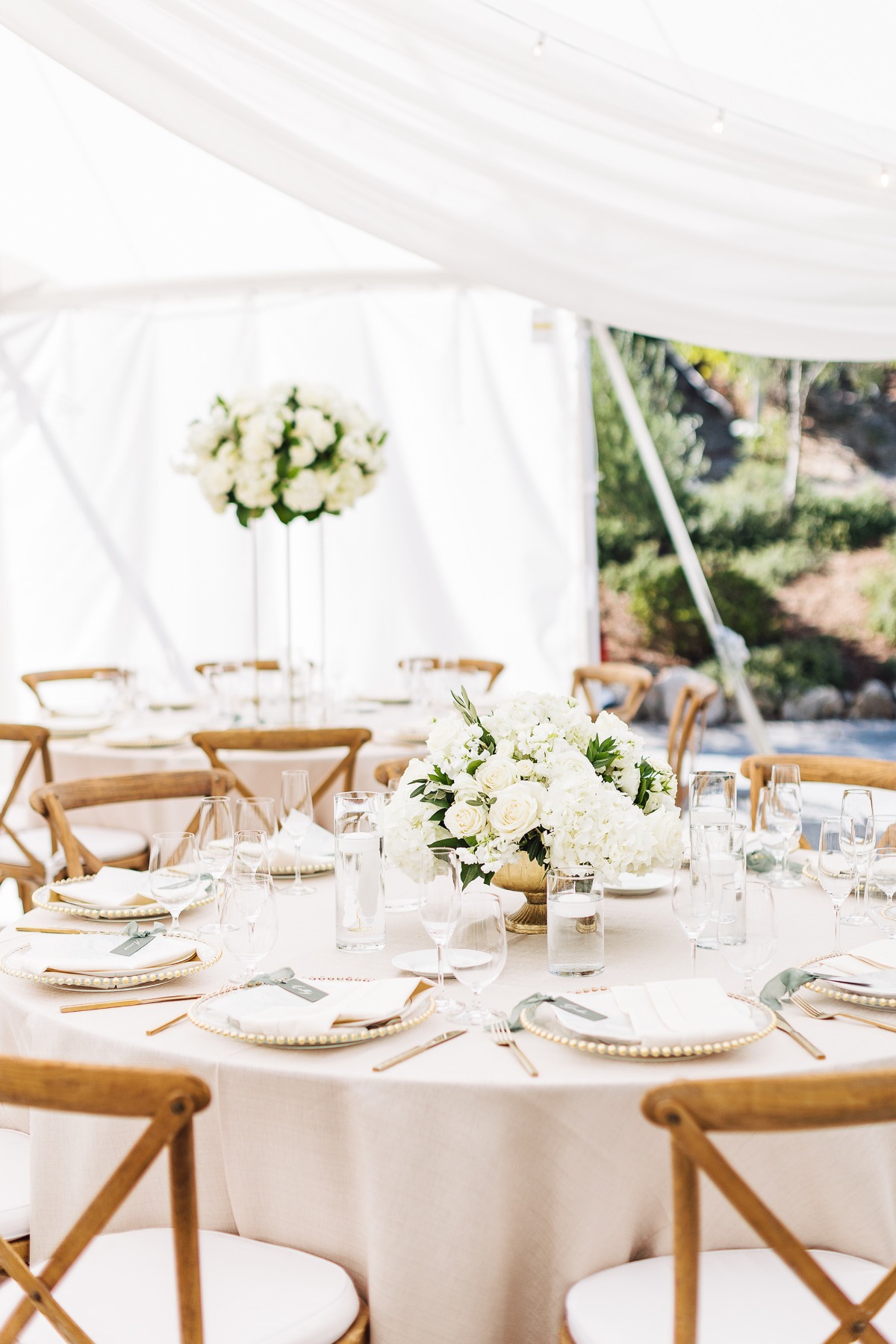 sherie-jorge-nella-terra-cellars-wedding-ashley-carlascio-photography_25
