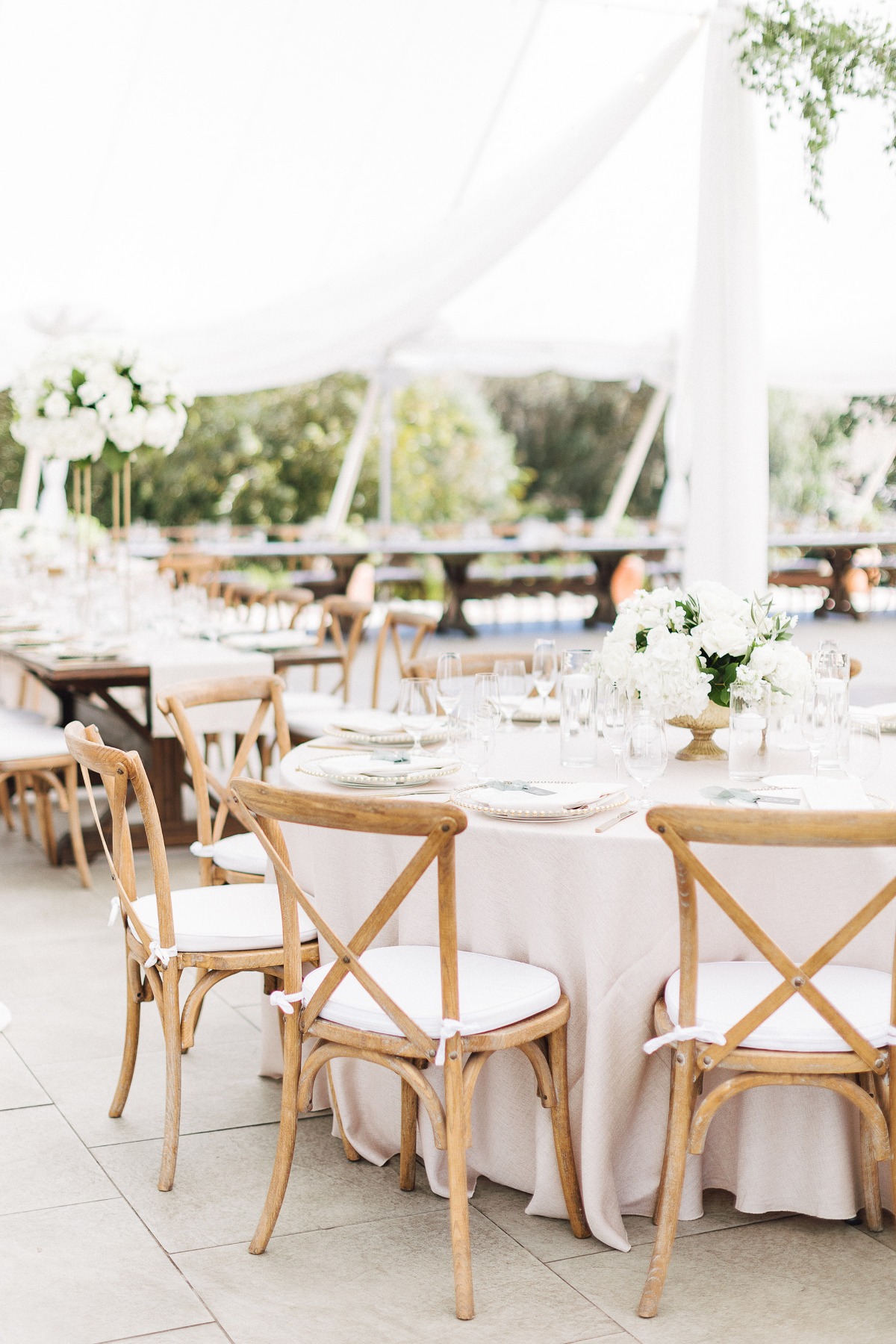 sherie-jorge-nella-terra-cellars-wedding-ashley-carlascio-photography_27