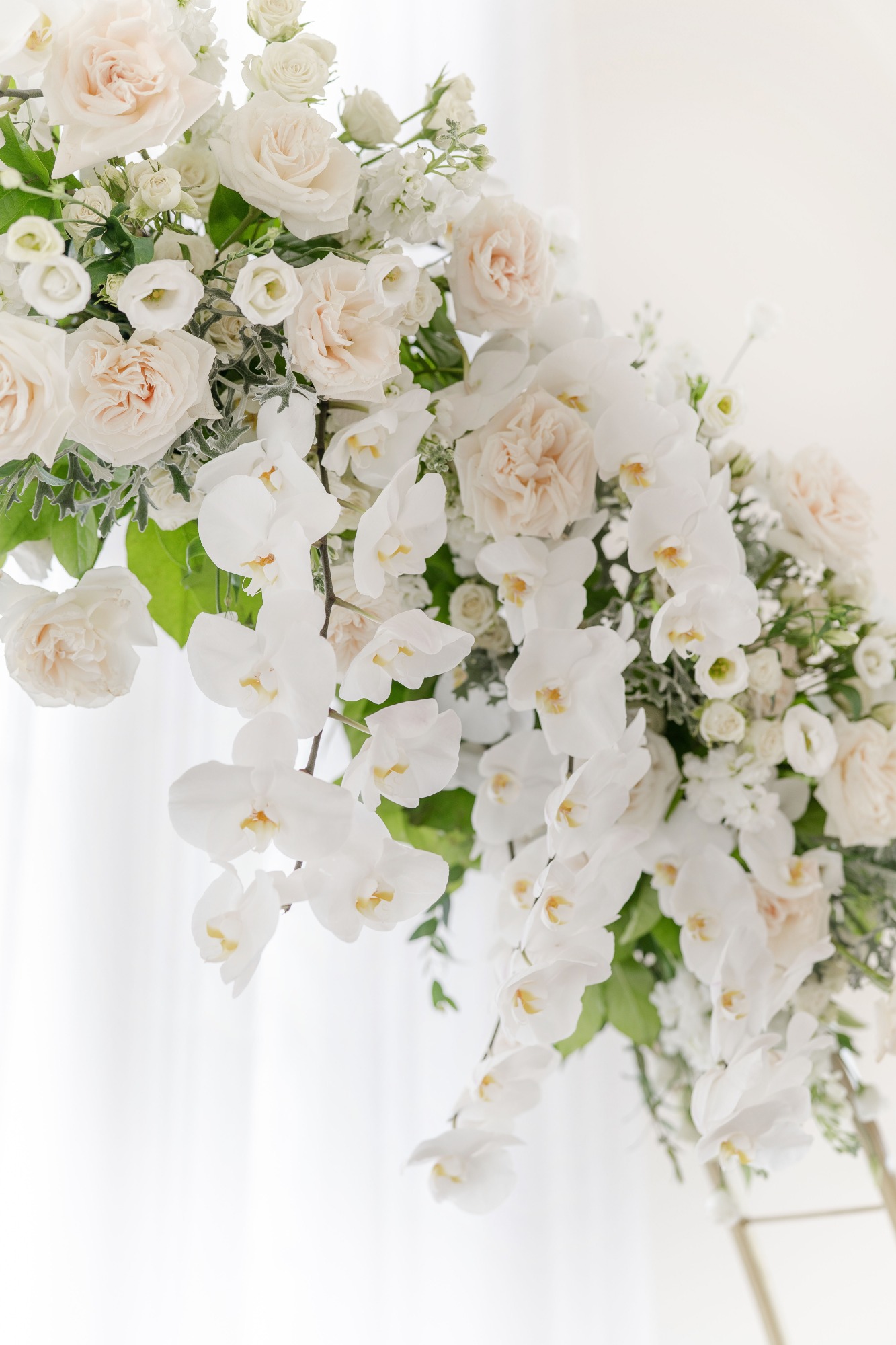 white orchid and rose flower arch