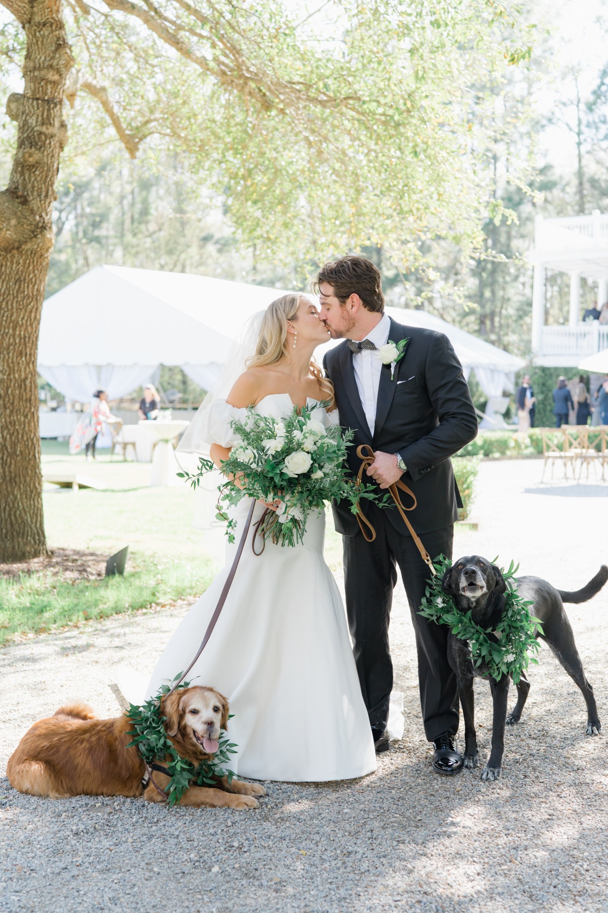 wedding accessories for dogs
