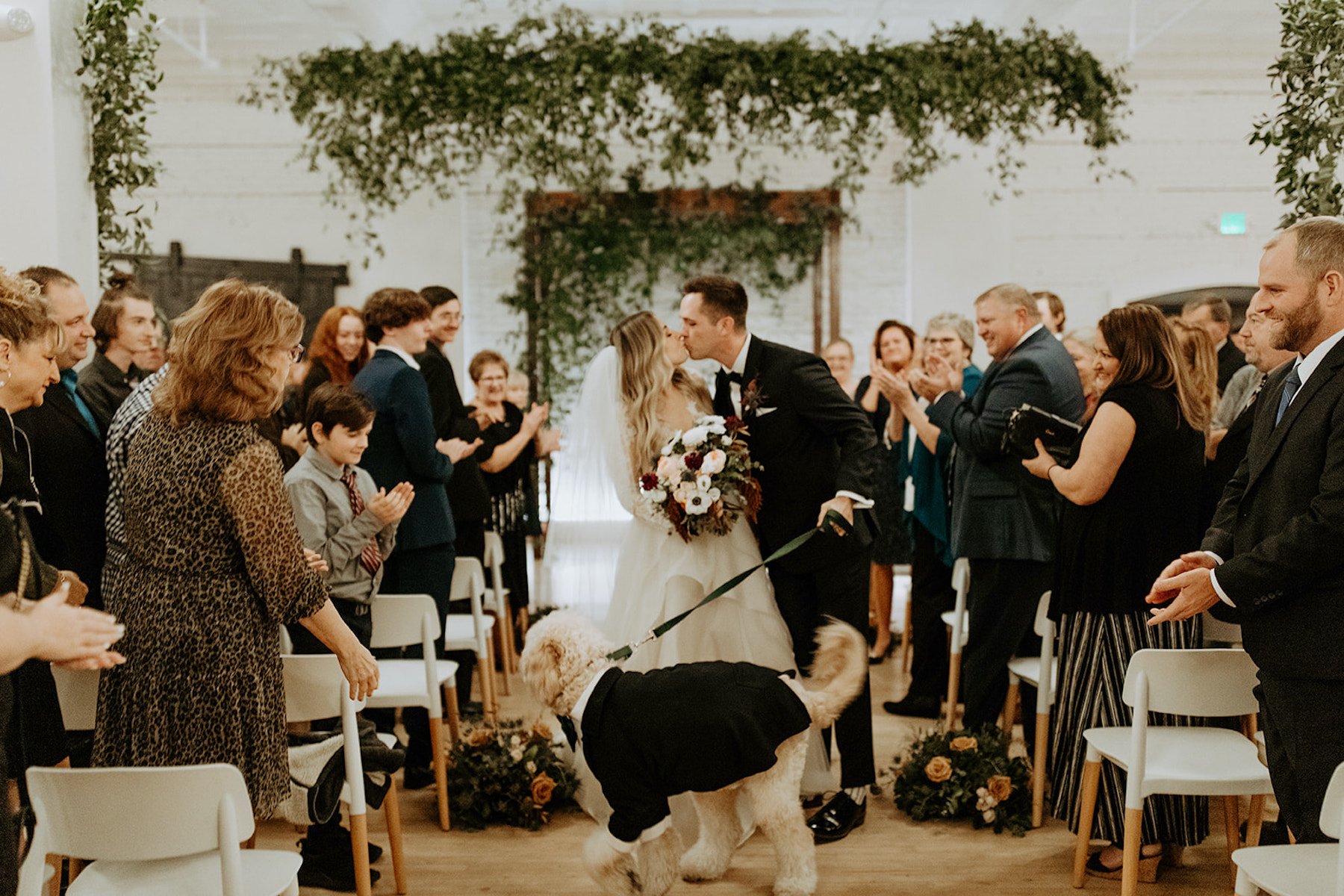 wedding suits for dogs
