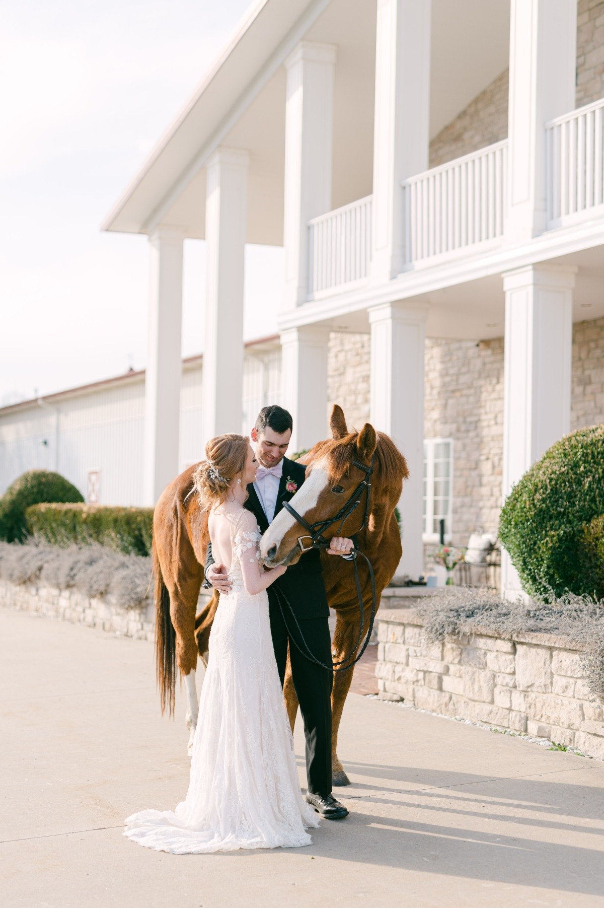 Romantic vintage newlyweds with horse