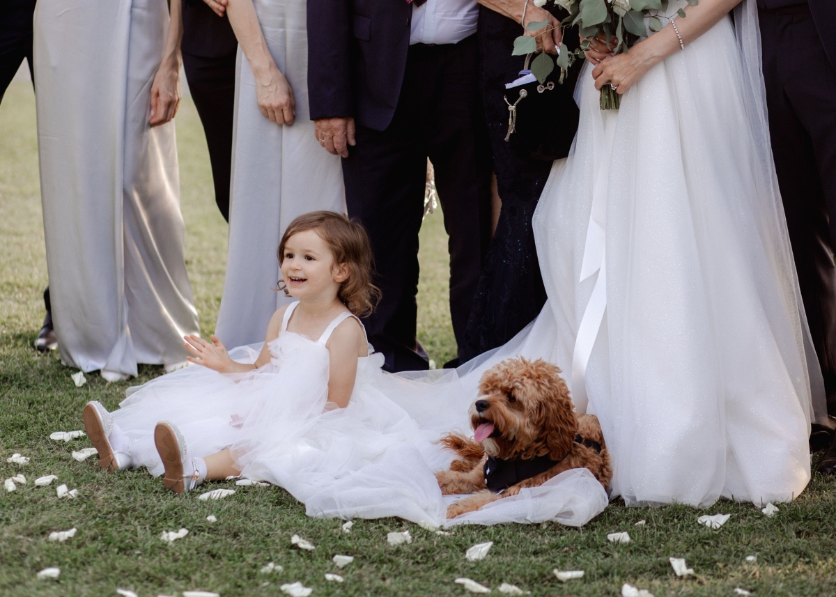 Dog posing with bridal party 