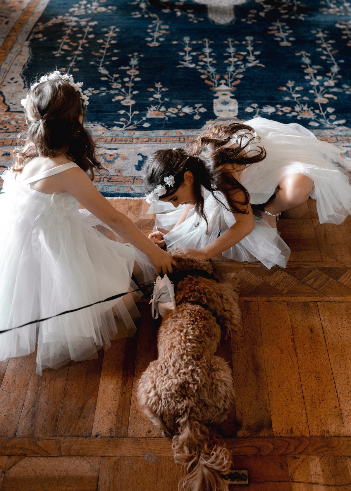 Flower girls petting dog ring bearer