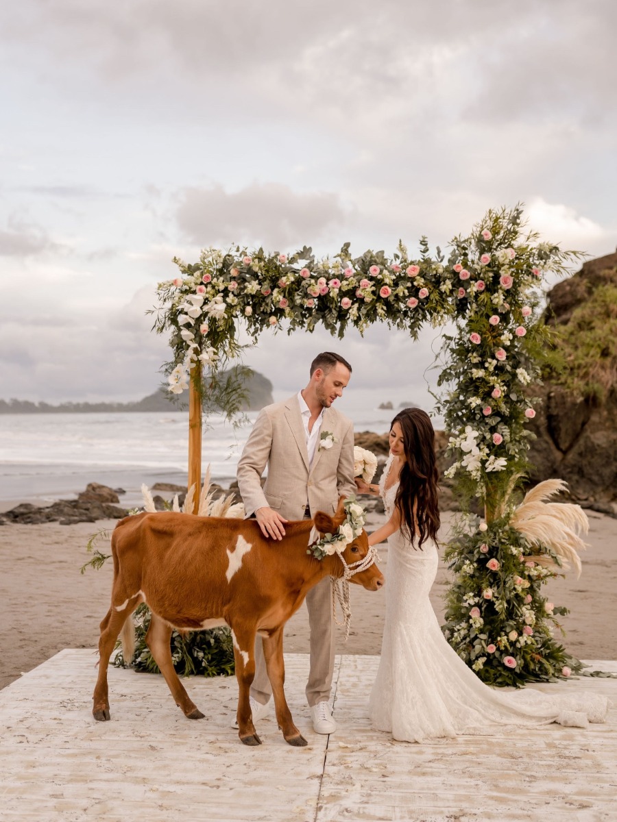 This timeless Costa Rican beach wedding is FULL of fur babies