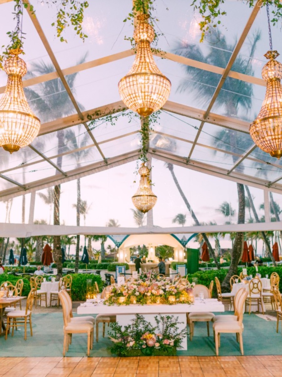 A tropical wedding Extravaganza on a remote island in Puerto Rico