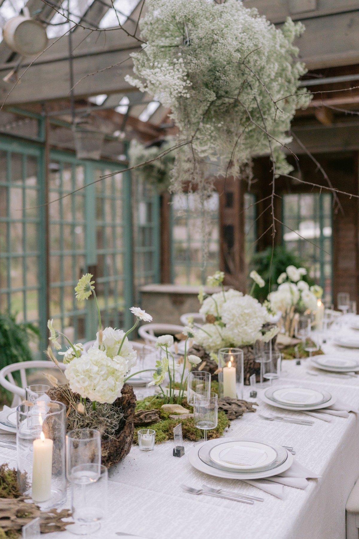 Nature themed reception in greenhouse