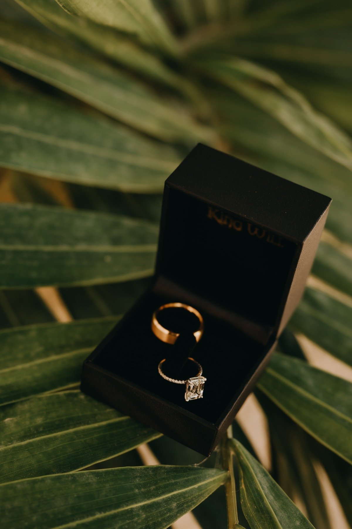 Jungle background wedding rings