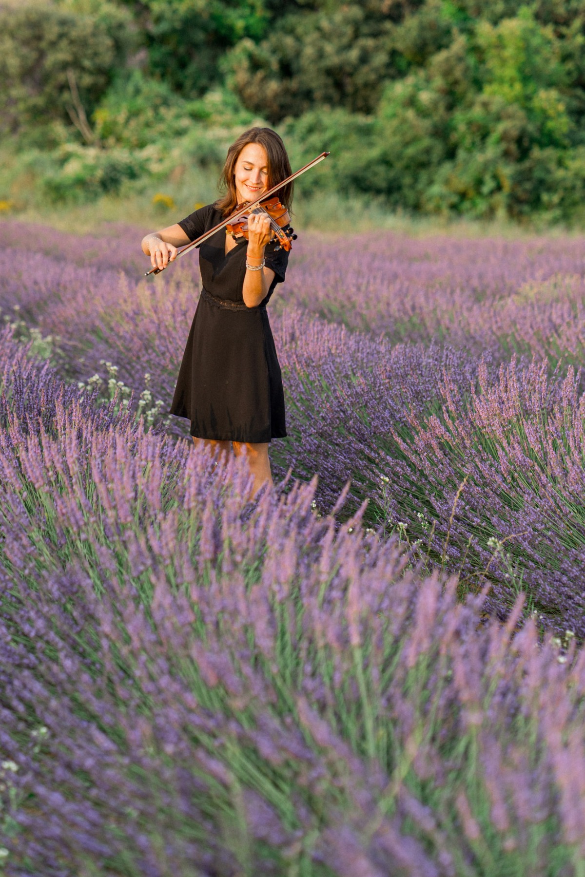 French wedding violinist 