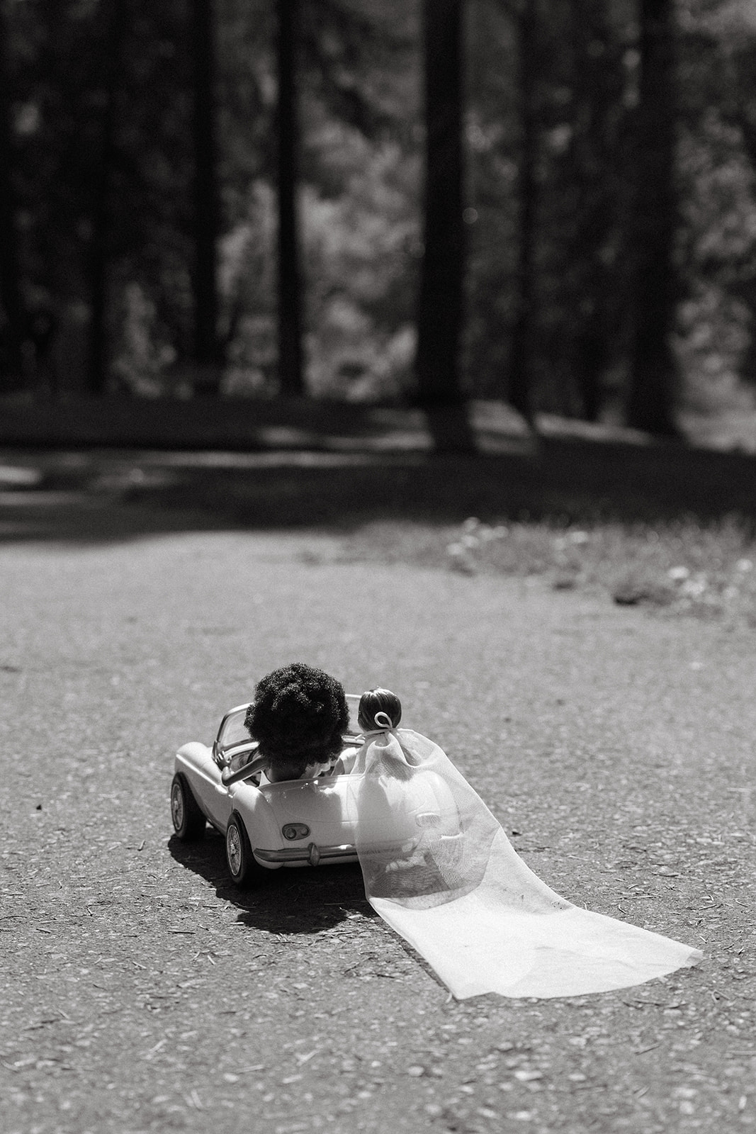 barbie-dream-wedding-_-portland_-oregon-_-michelle-allan-photography-109