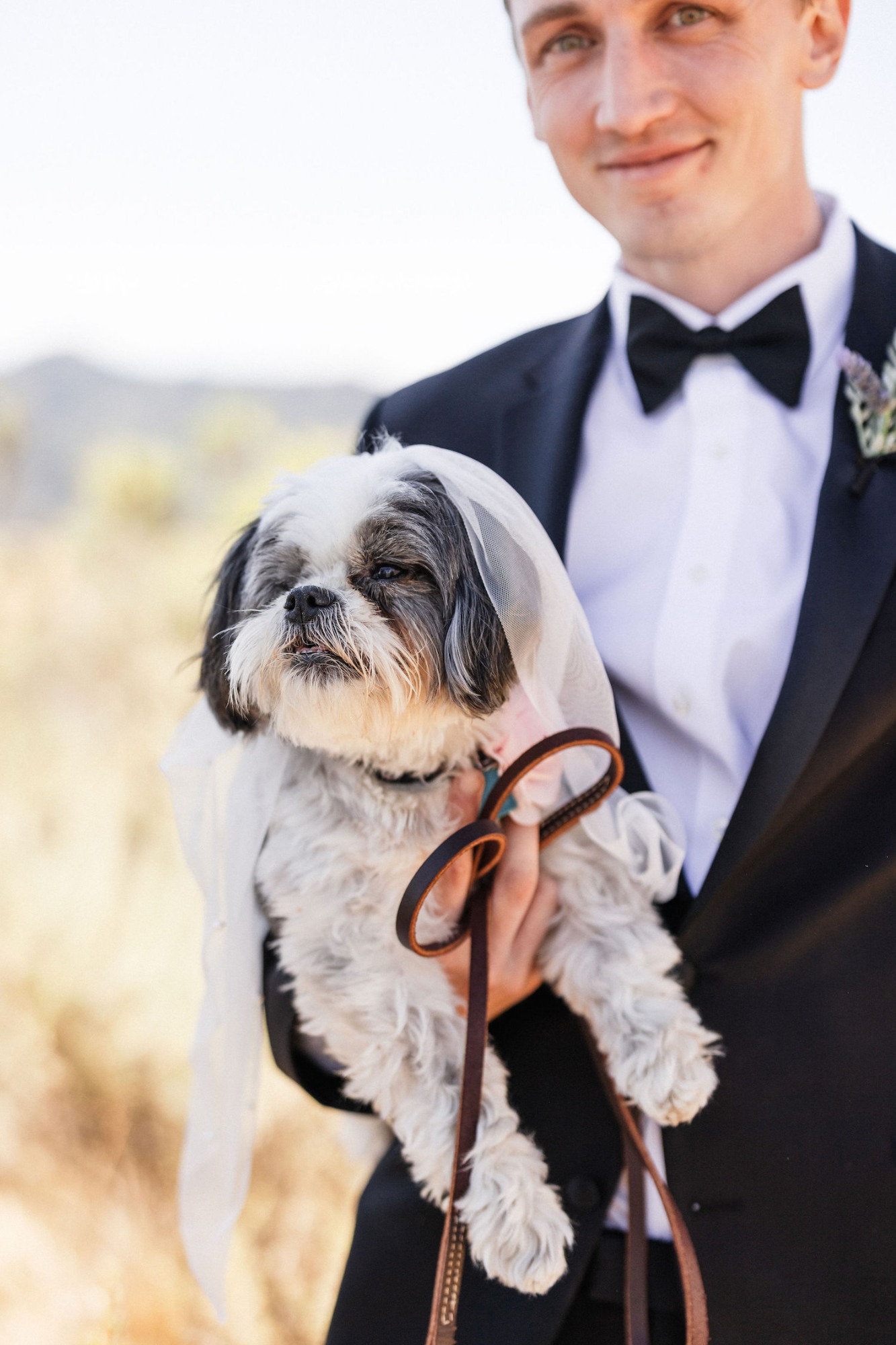 wedding veil for pet