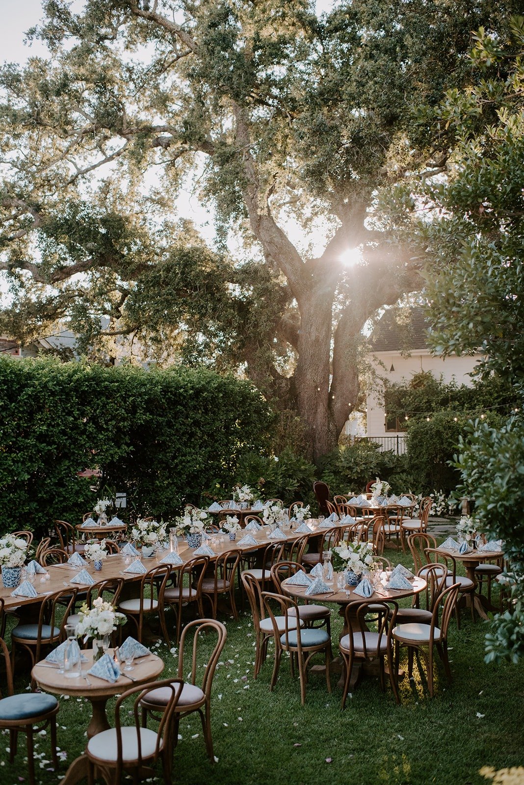 backyard wedding layout