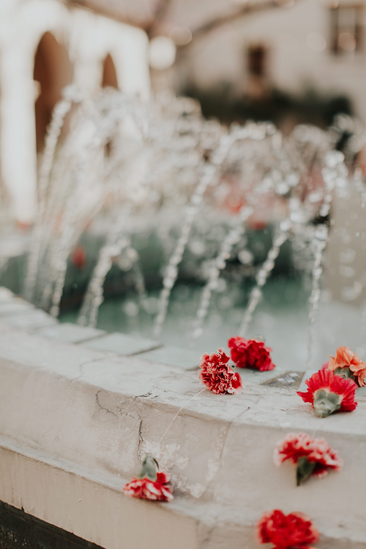 Pink and red carnations on wedding fountain 