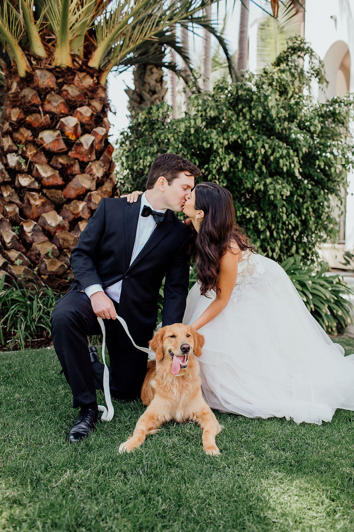 how to include your pet in your wedding