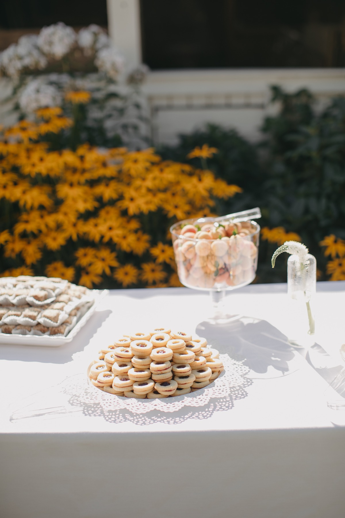 sarah-gabe-gian-events-122