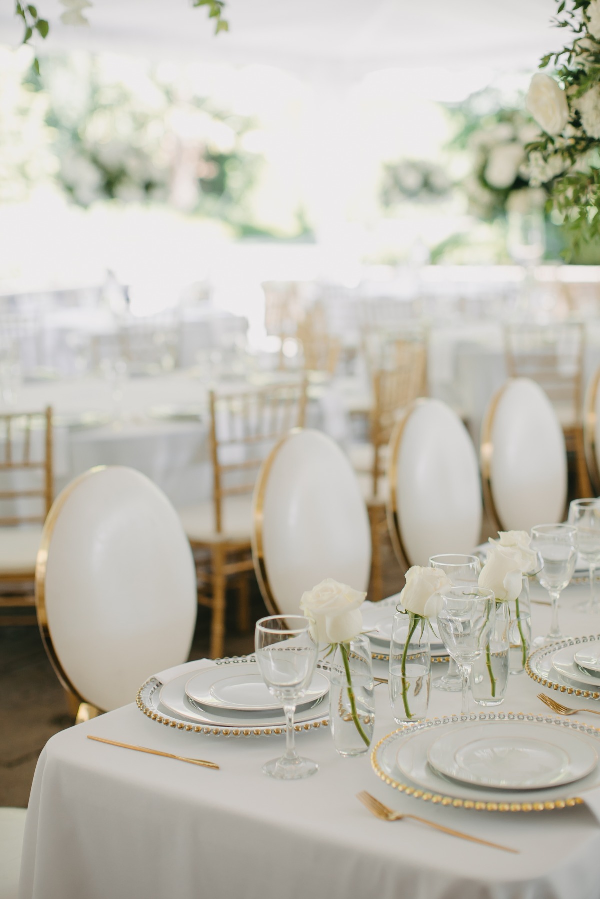 white and gold chairs