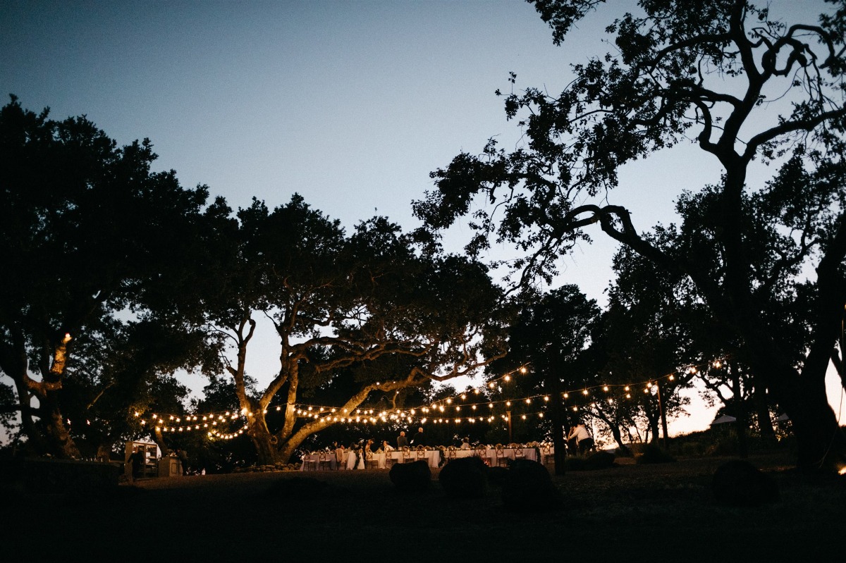 outdoor winery wedding lighting