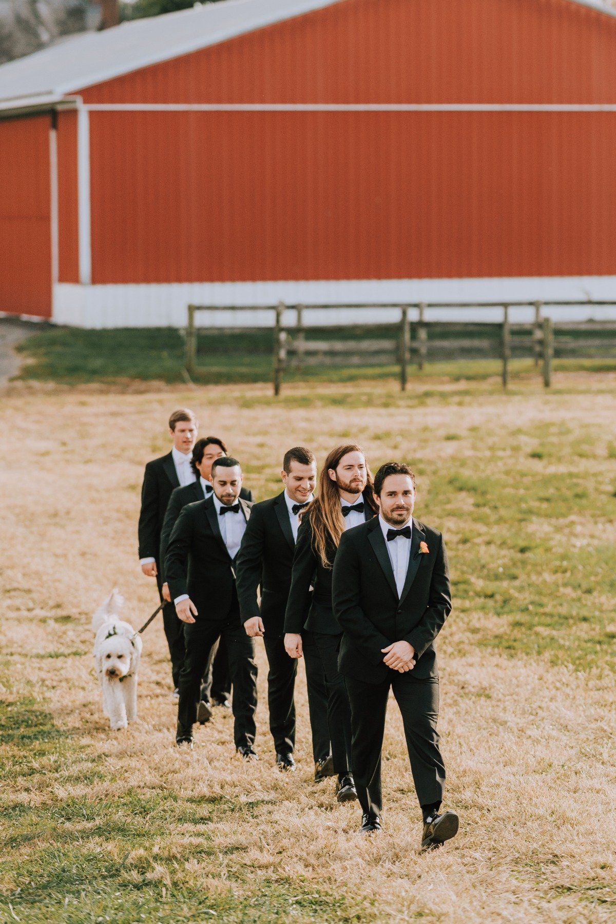 dog of honor processional 