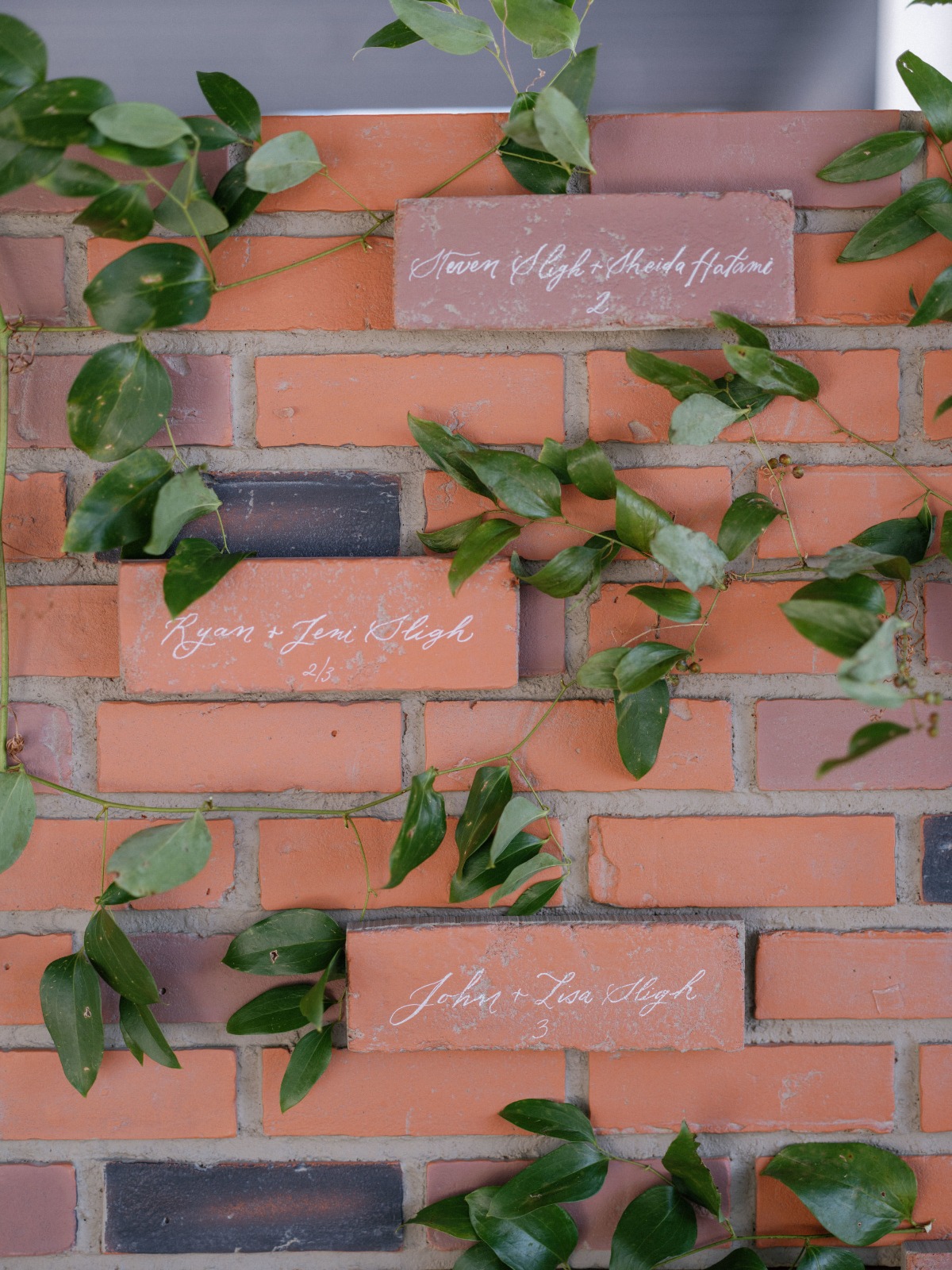 escort card display ideas with vine wall