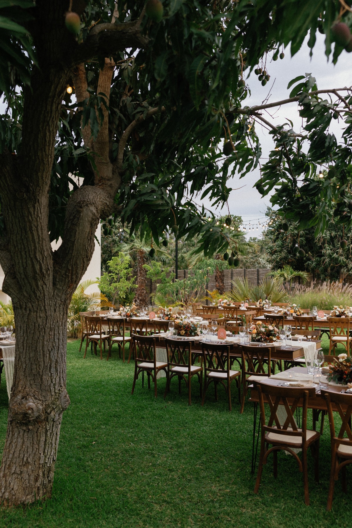 natalia-collin-bliss-events-baja-luna-mexico-109