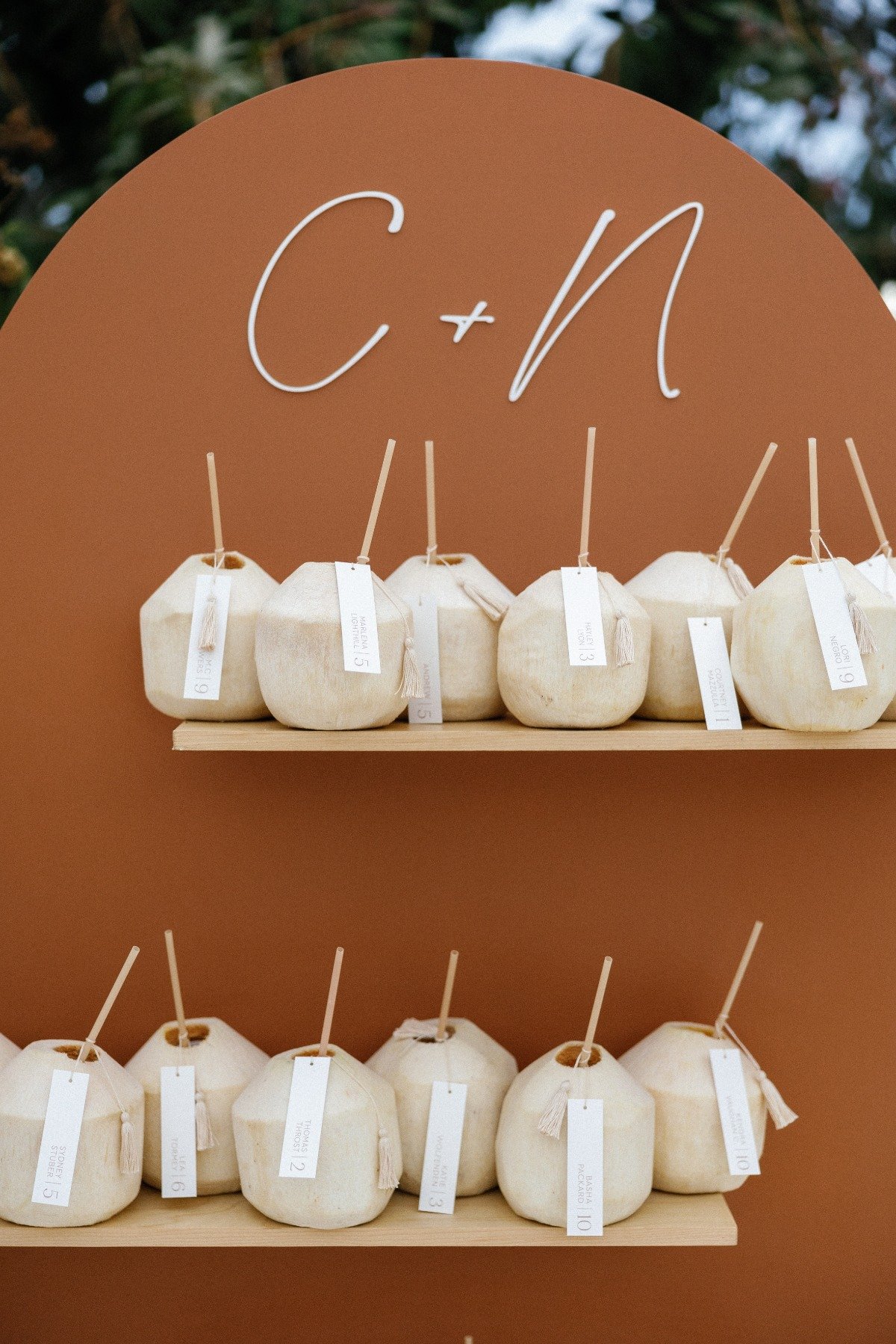 coconut drink seating chart wall
