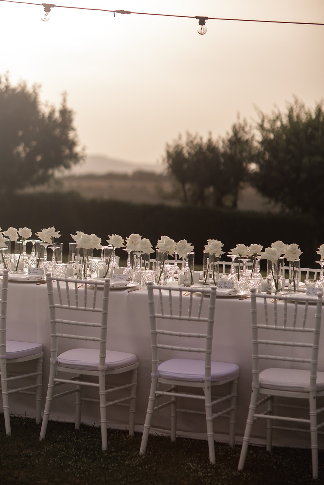 large white rose single stem centerpieces