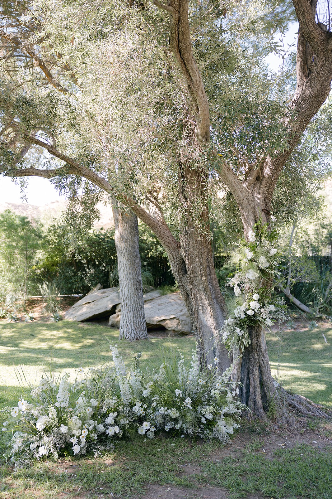 natural tree floral installations
