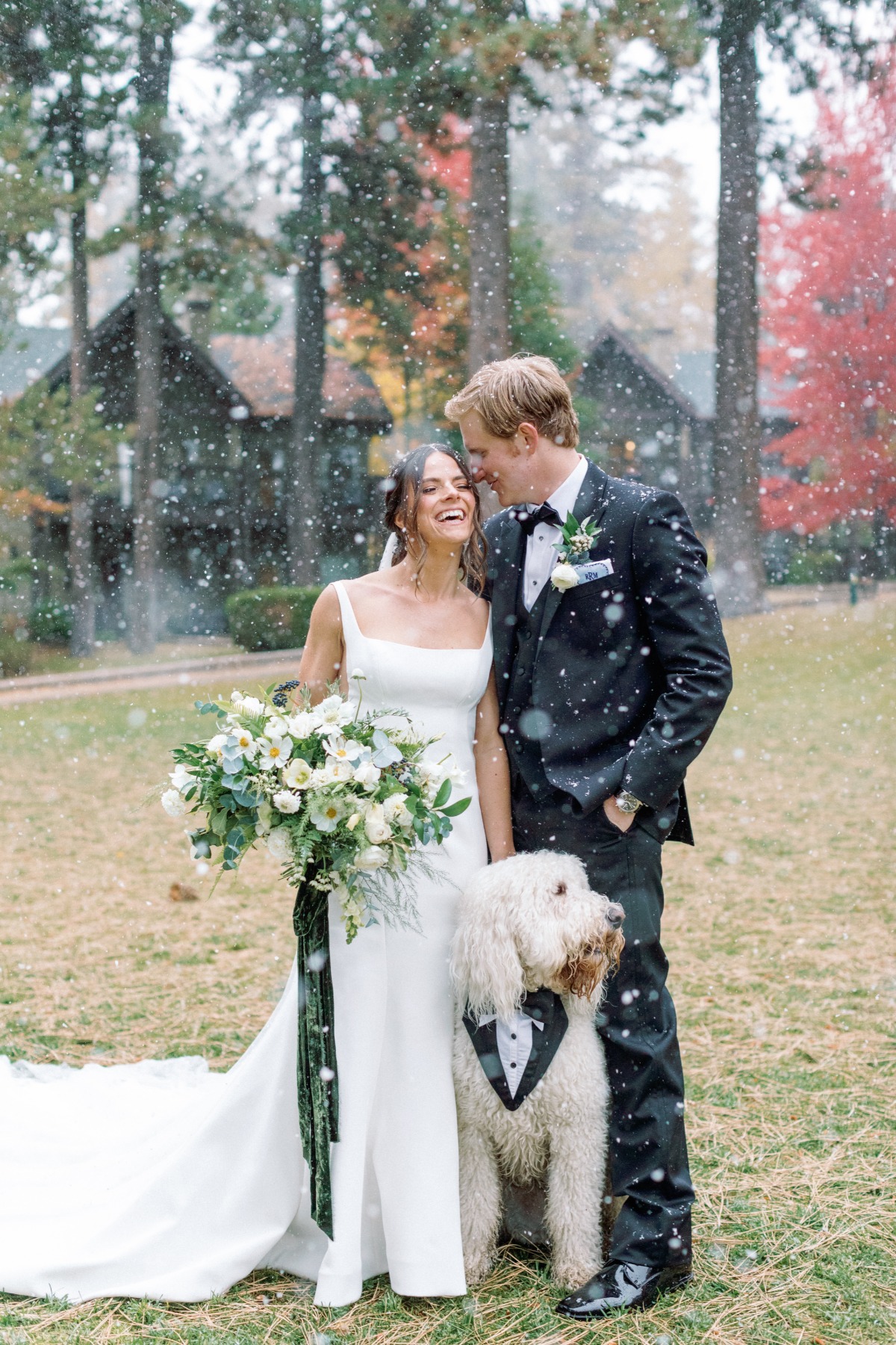 Elegant wedding dog tuxedo