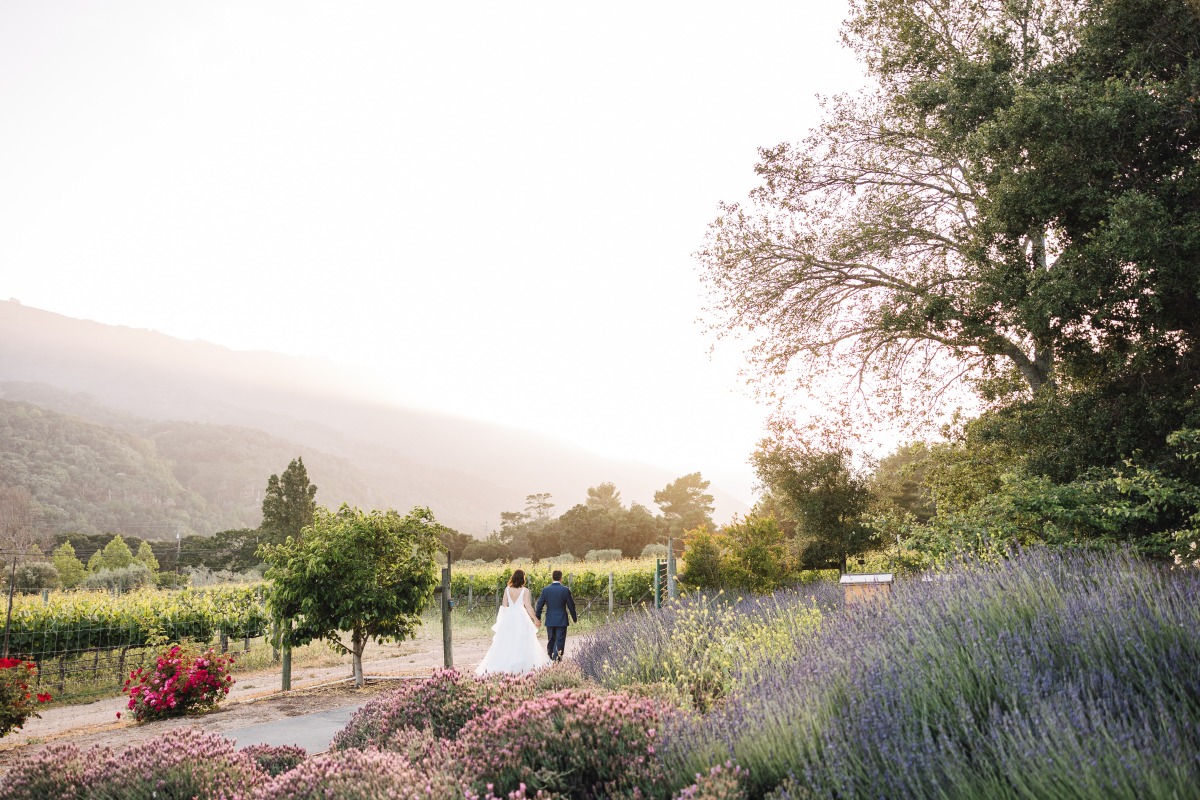 Newlyweds walking into the sunset at Carmel Valley wedding 