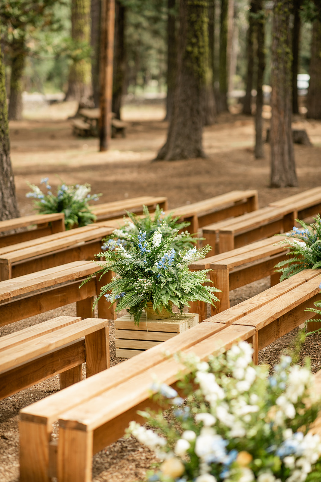 pews in the woods