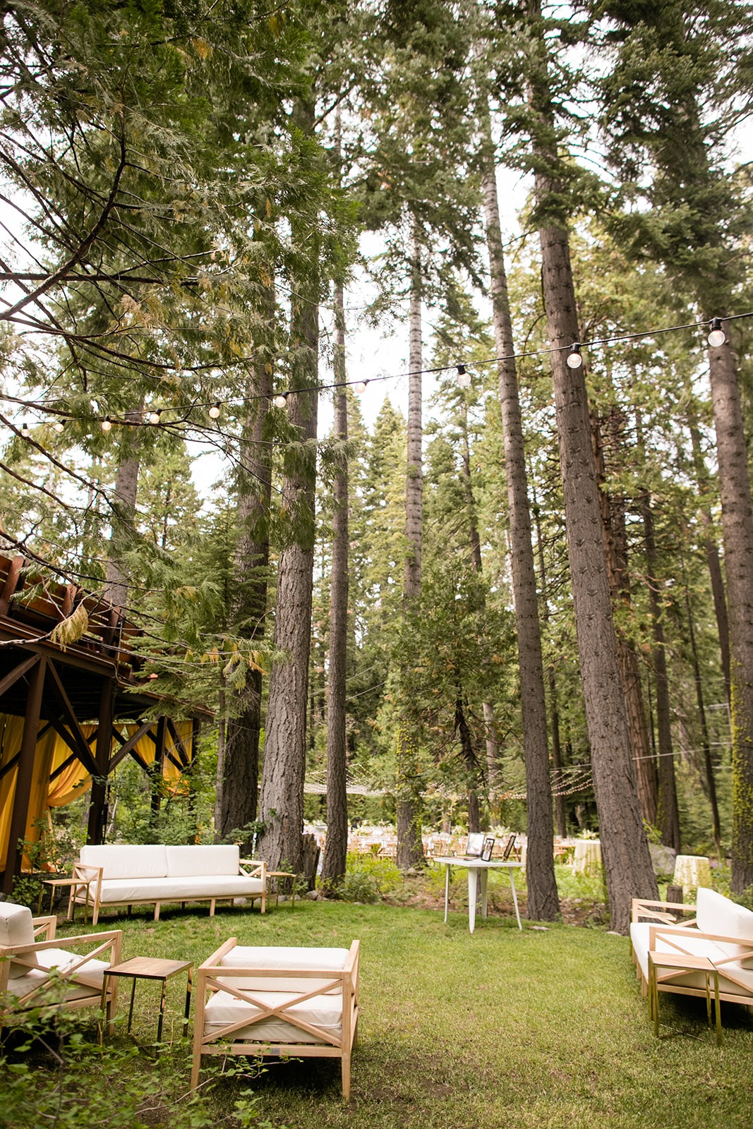 woodland lounge for wedding