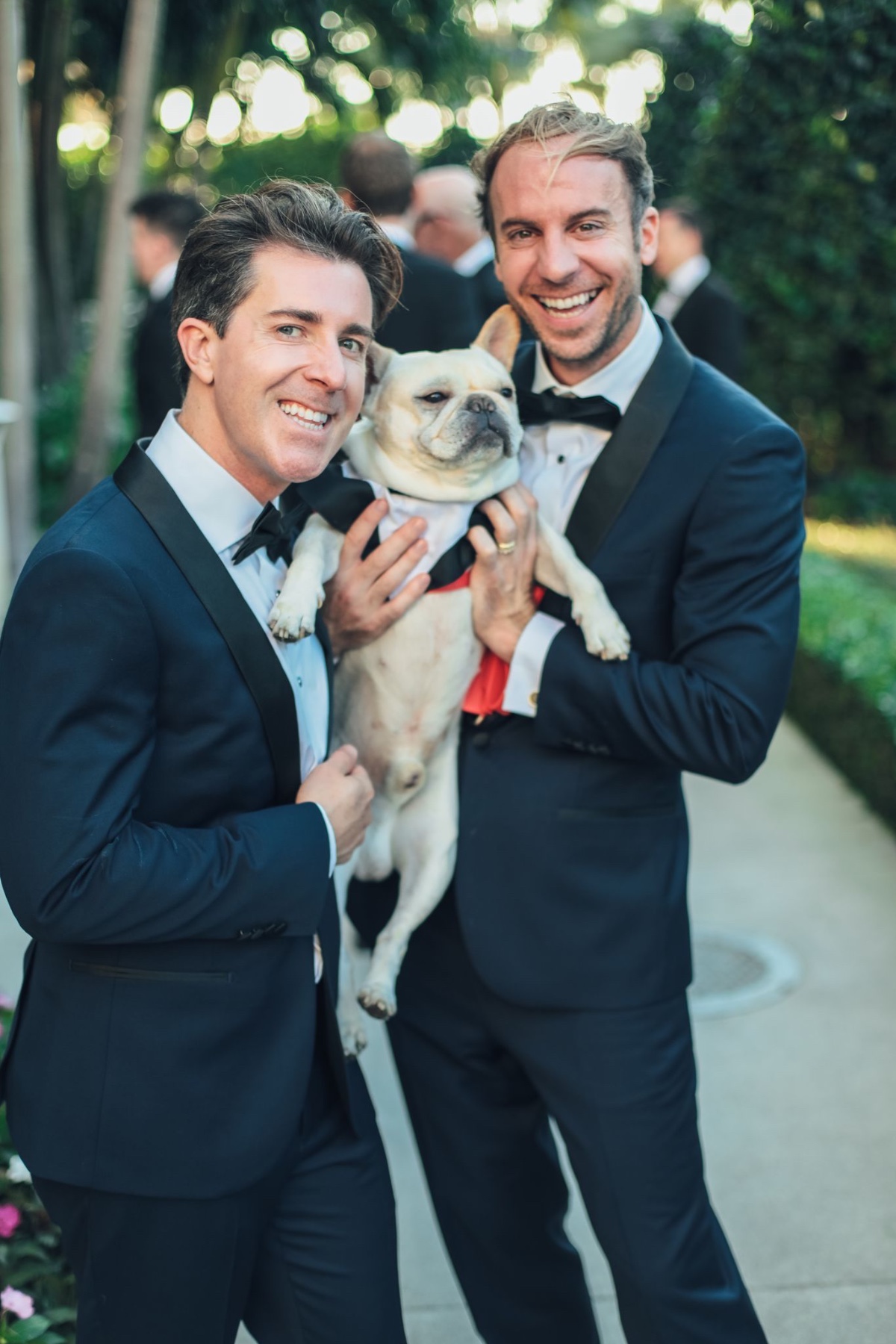 dog wedding tuxedo