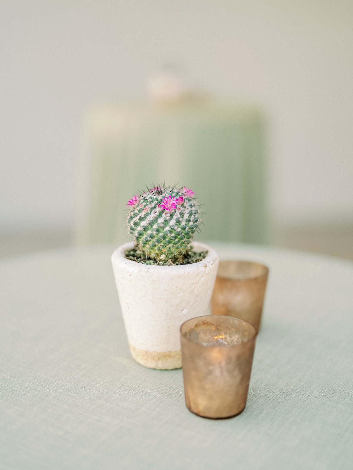 Petite cactus in stone vase for wedding reception table 