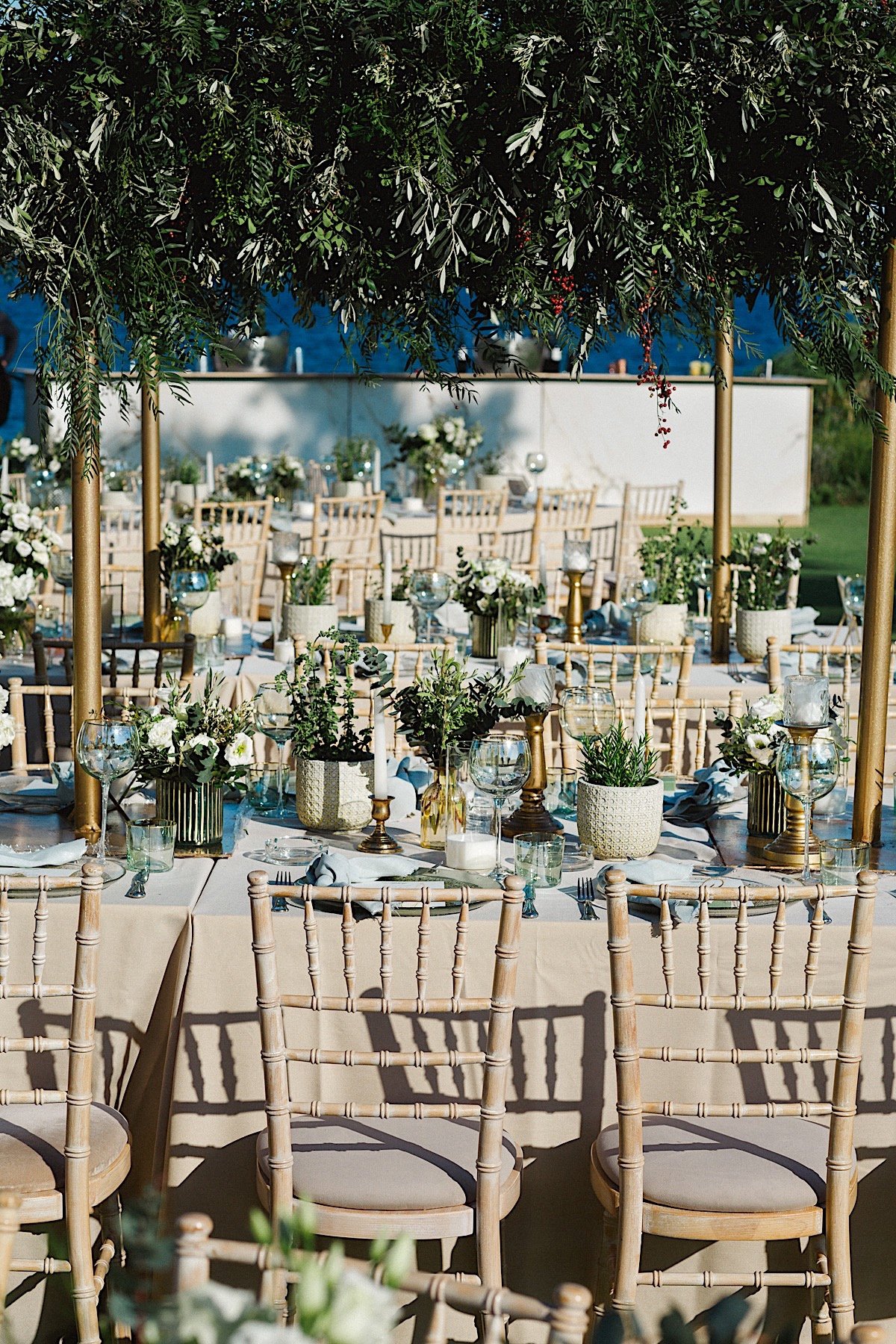 Timeless vintage inspired olive branch wedding reception