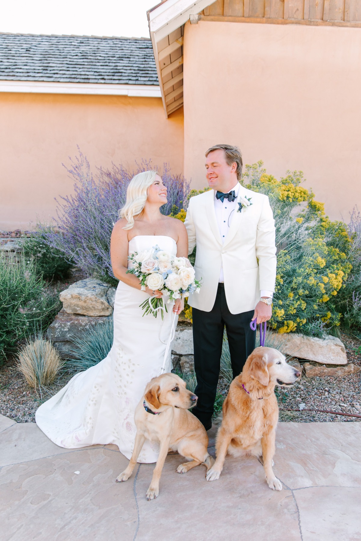 dog wedding photo idea