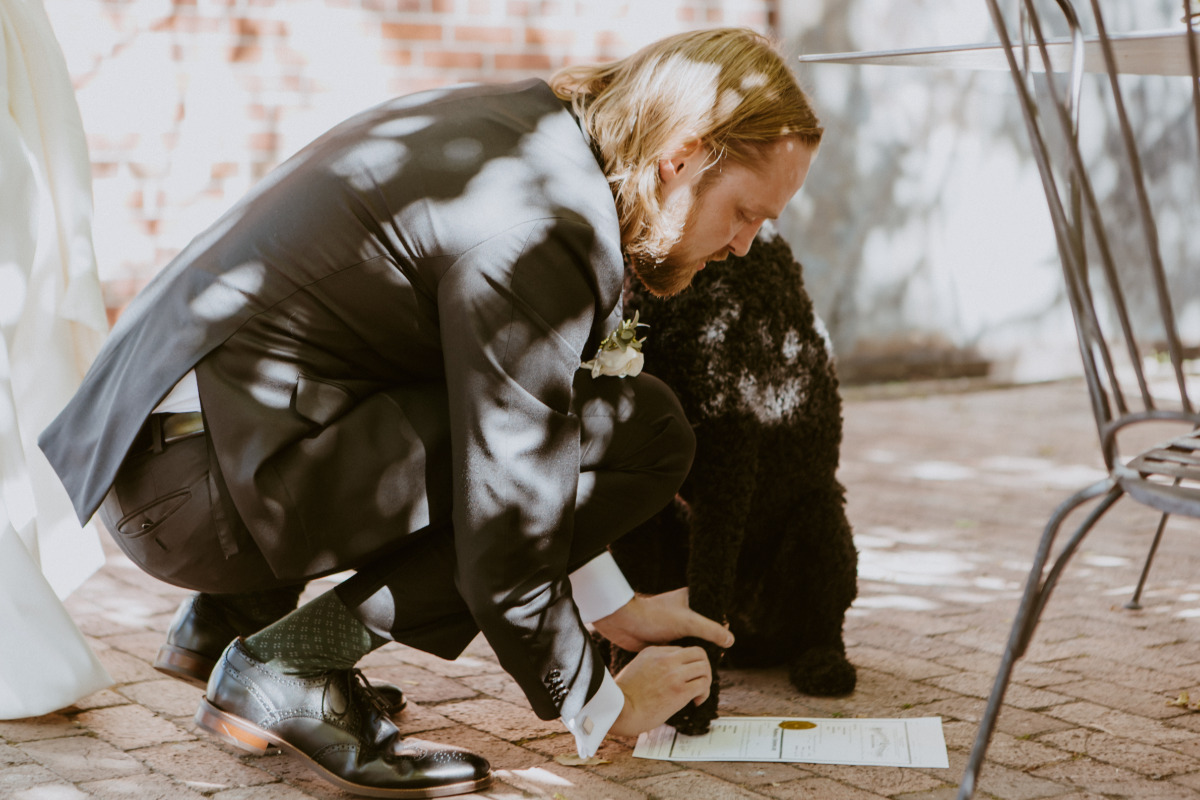 dog wedding witness