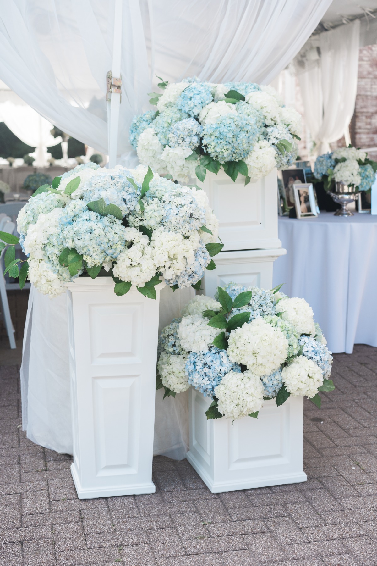 White and blue hydrangea reception flowers