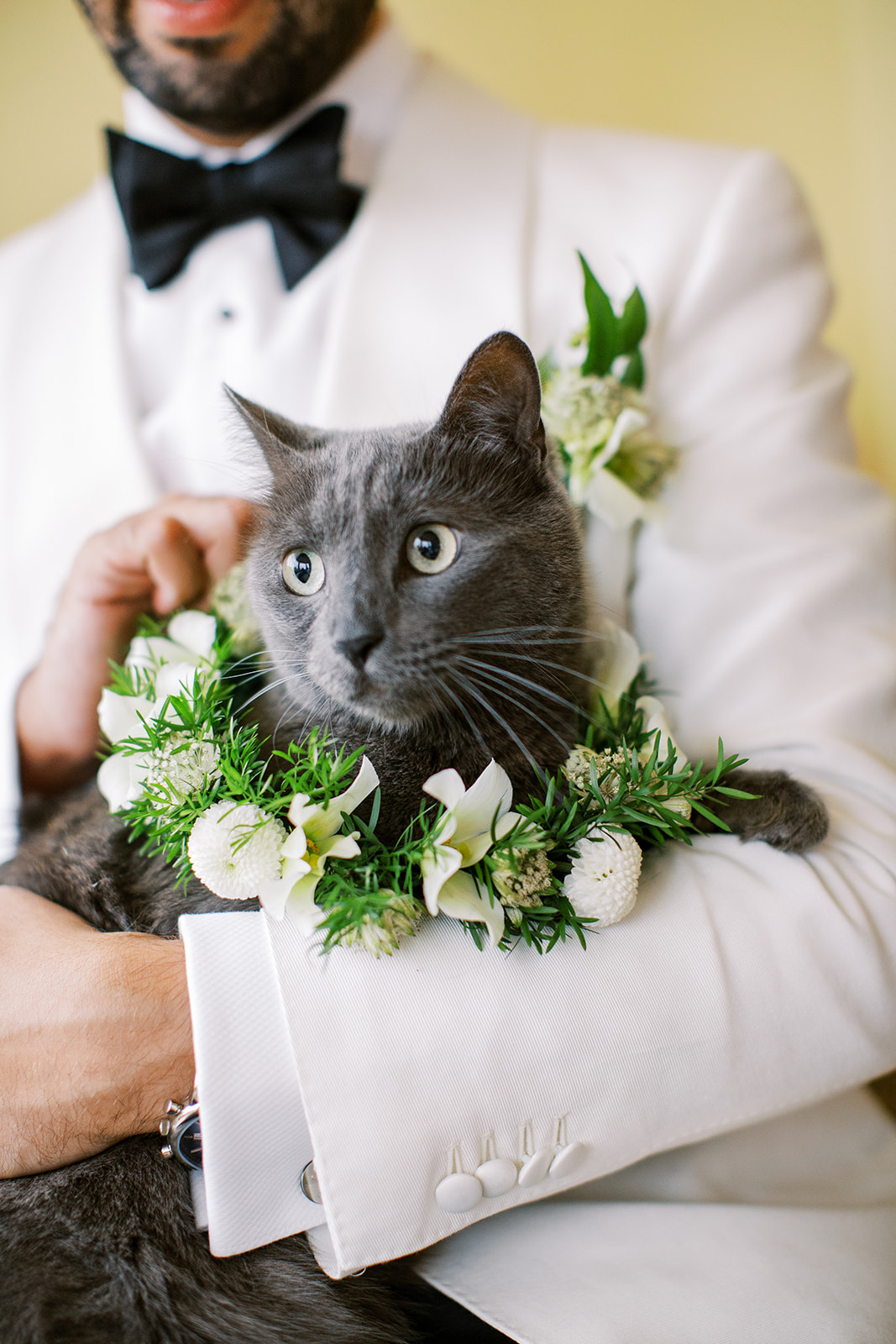 floral collar for pet in wedding
