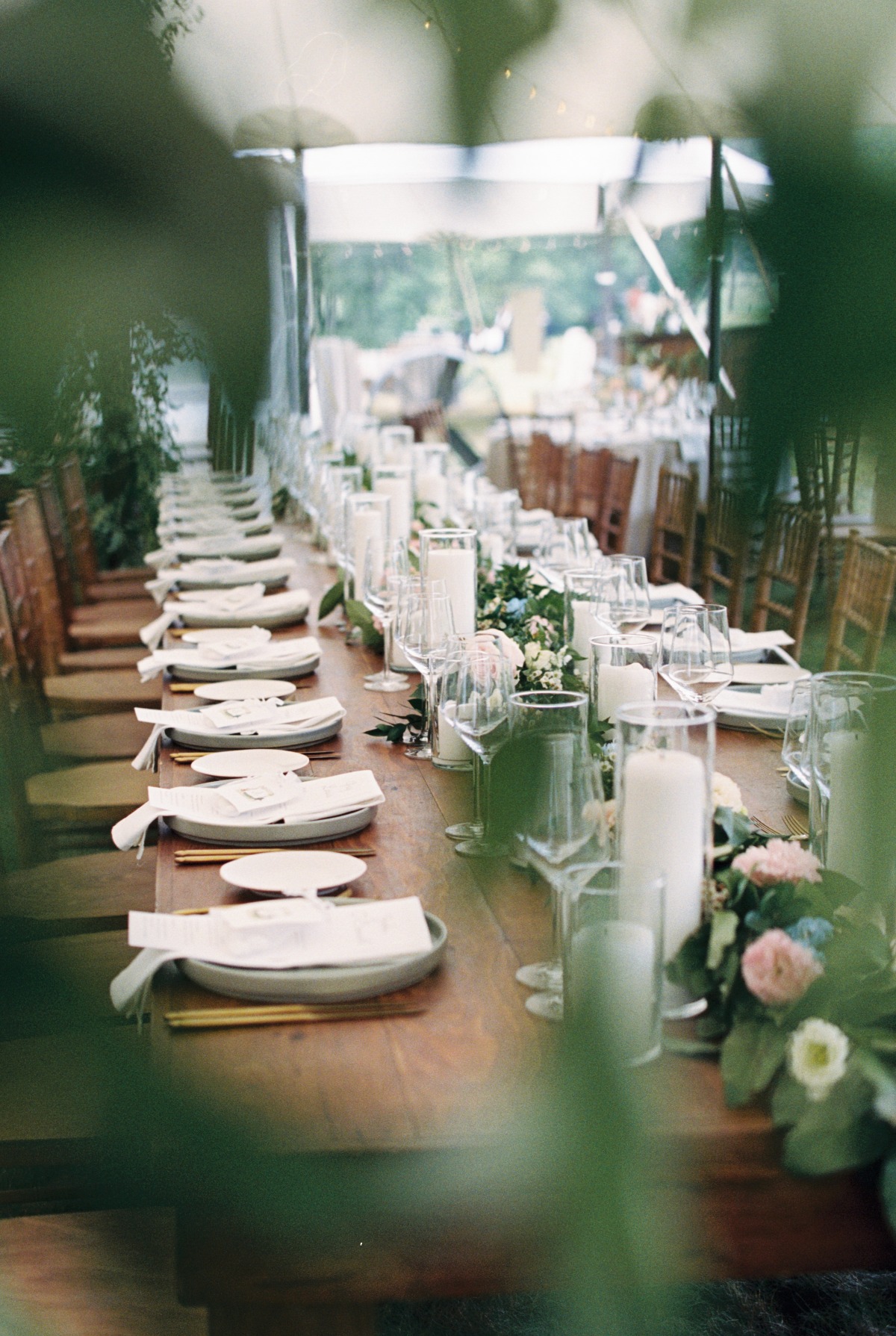 Wedding reception table seen through lush greenery 