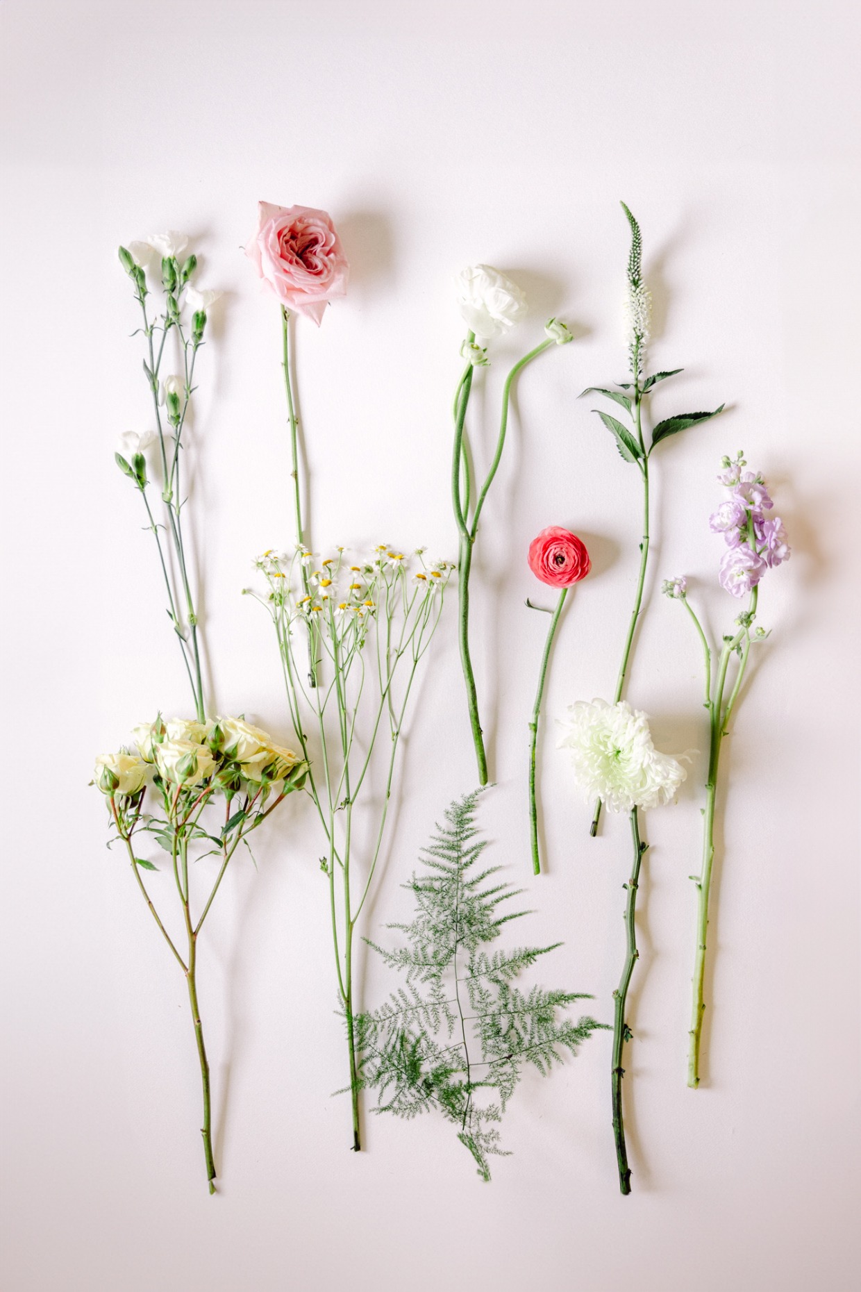 ethereal gardens diy flower pack from Fifty Flowers