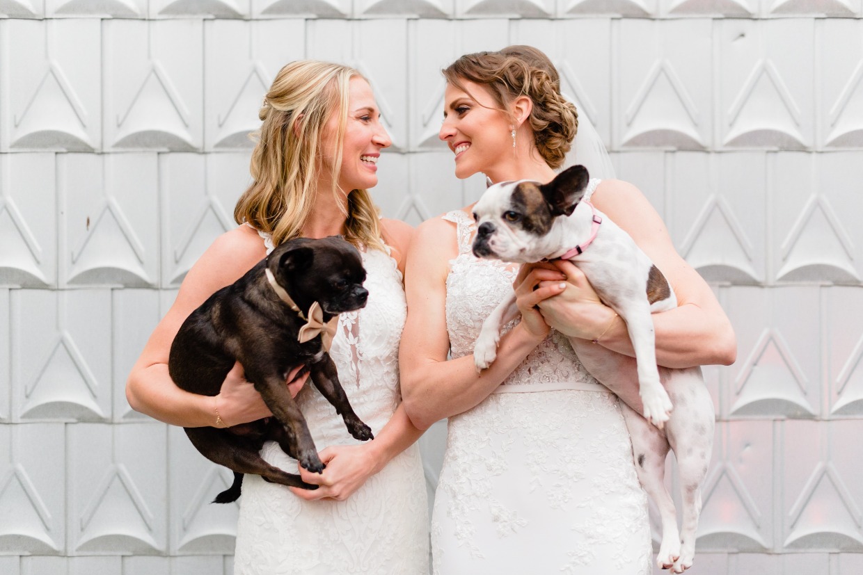 brides with their dogs at the pet friendly the edgewater hotel