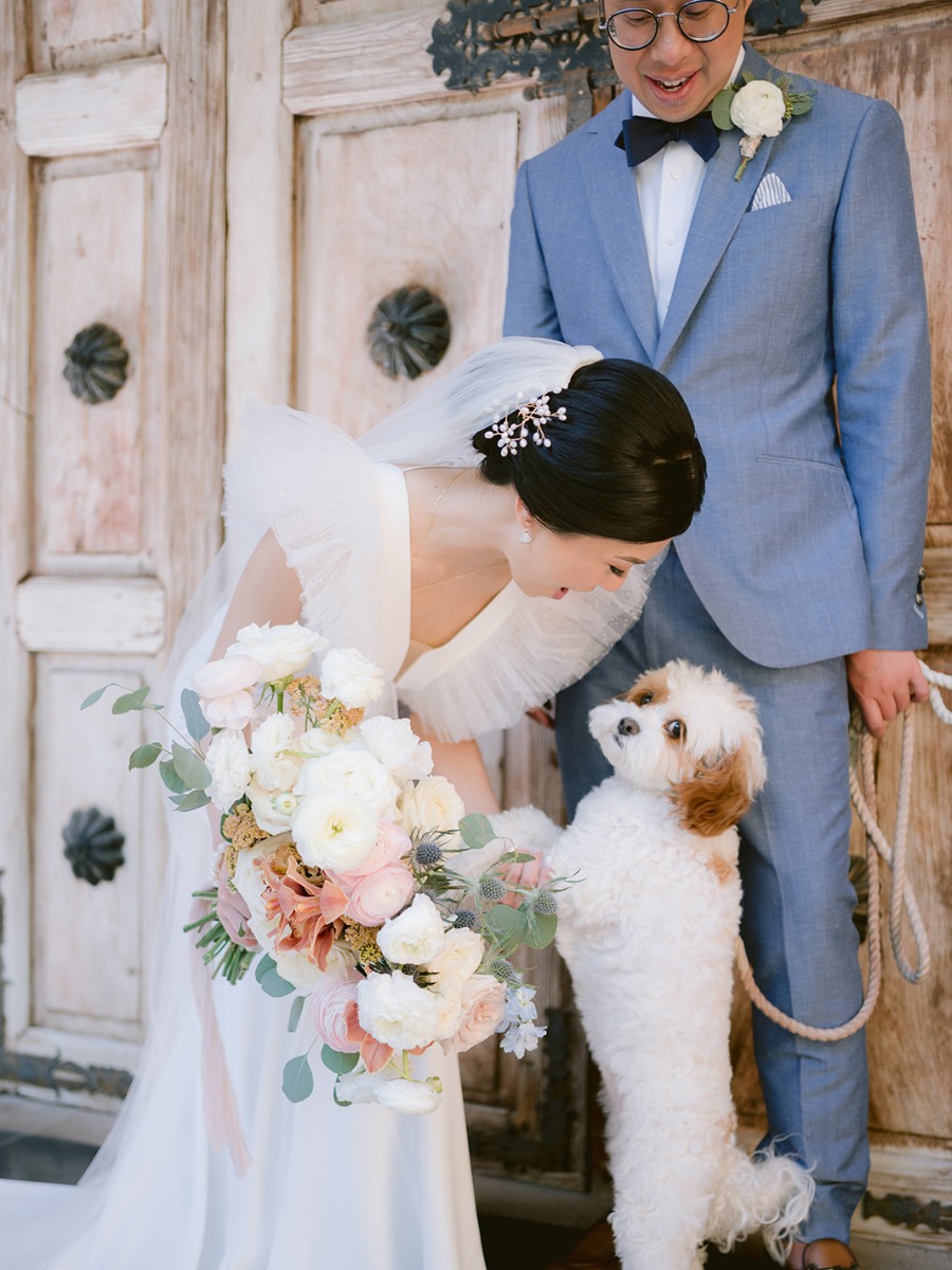 A chic Riviera Maya wedding with the perfect puppy ring bearer