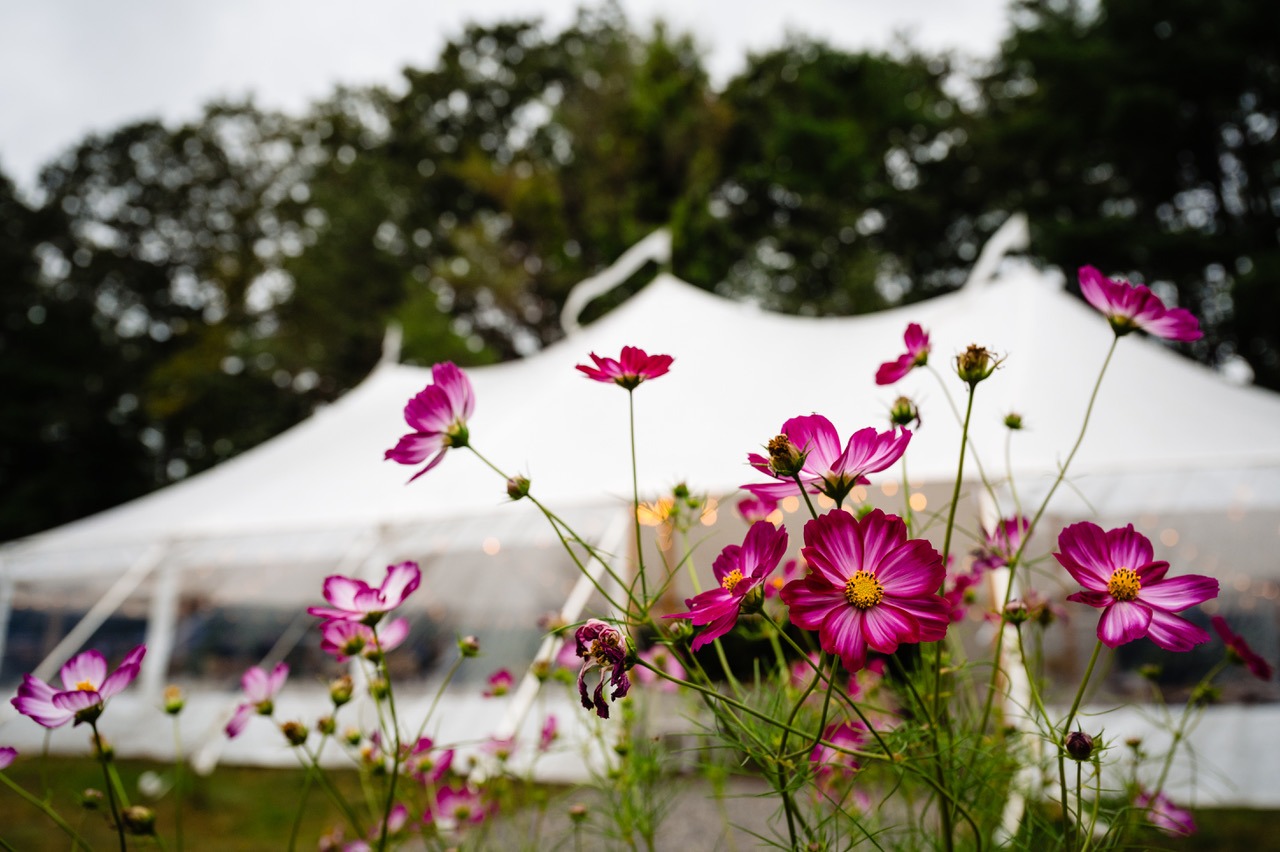 tented reception with flowers in garden at arrowheads estate