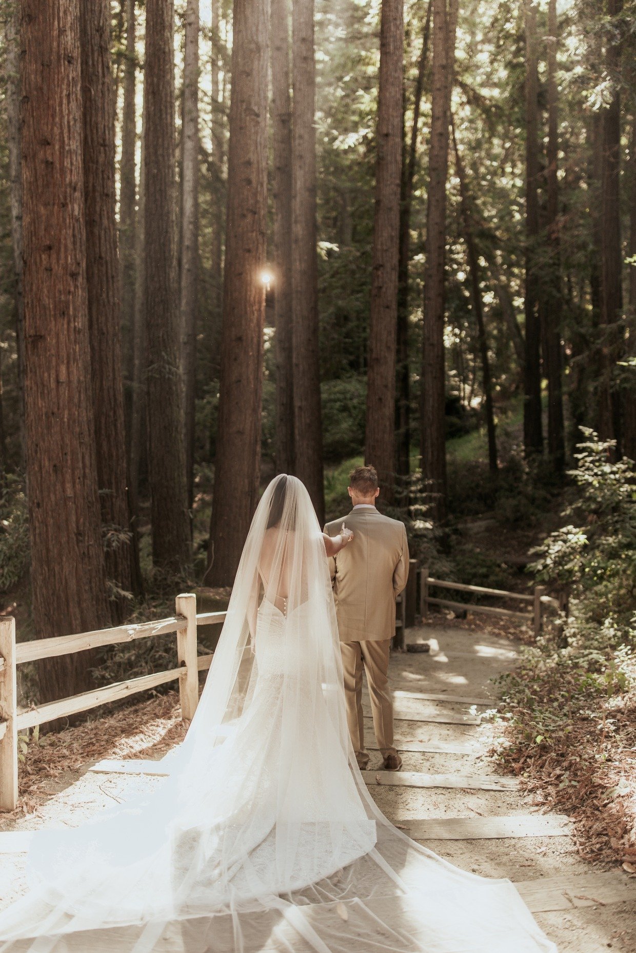 first look in the redwood forest at kennolyn